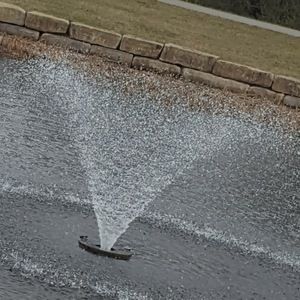 Meet your Posher, Tabitha